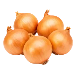 Cibule